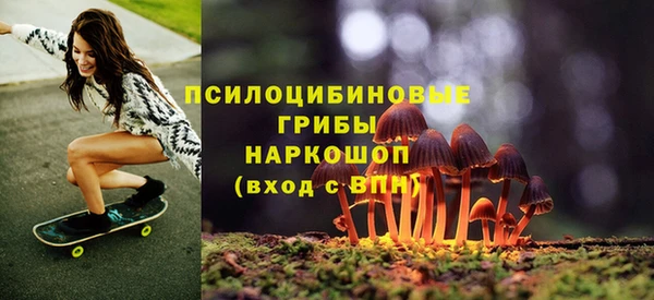 амф Алексин