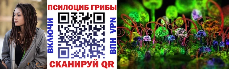 что такое   Дмитриев  Псилоцибиновые грибы Psilocybine cubensis 